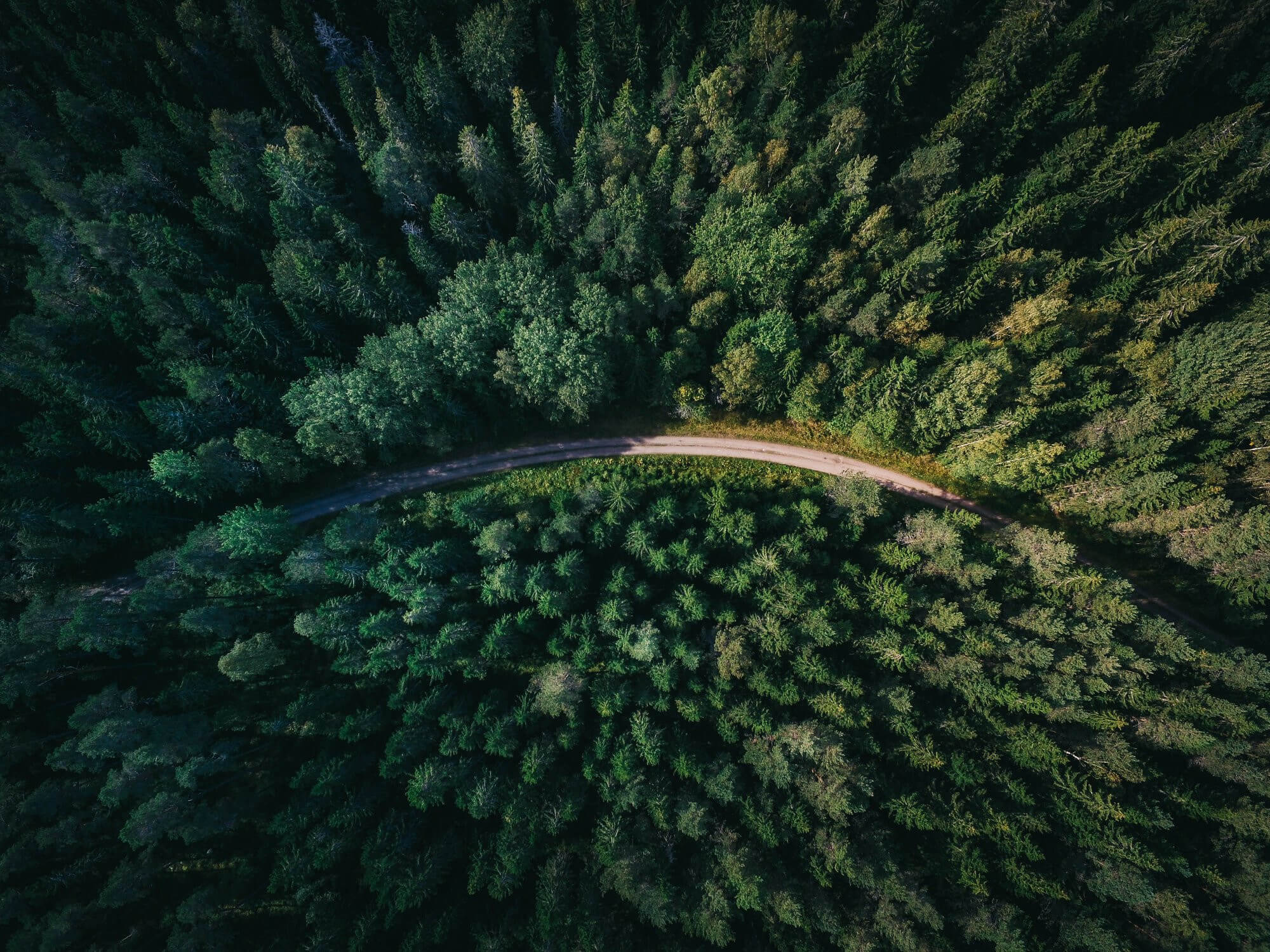 geranimo qzgn45hsen0 unsplash min