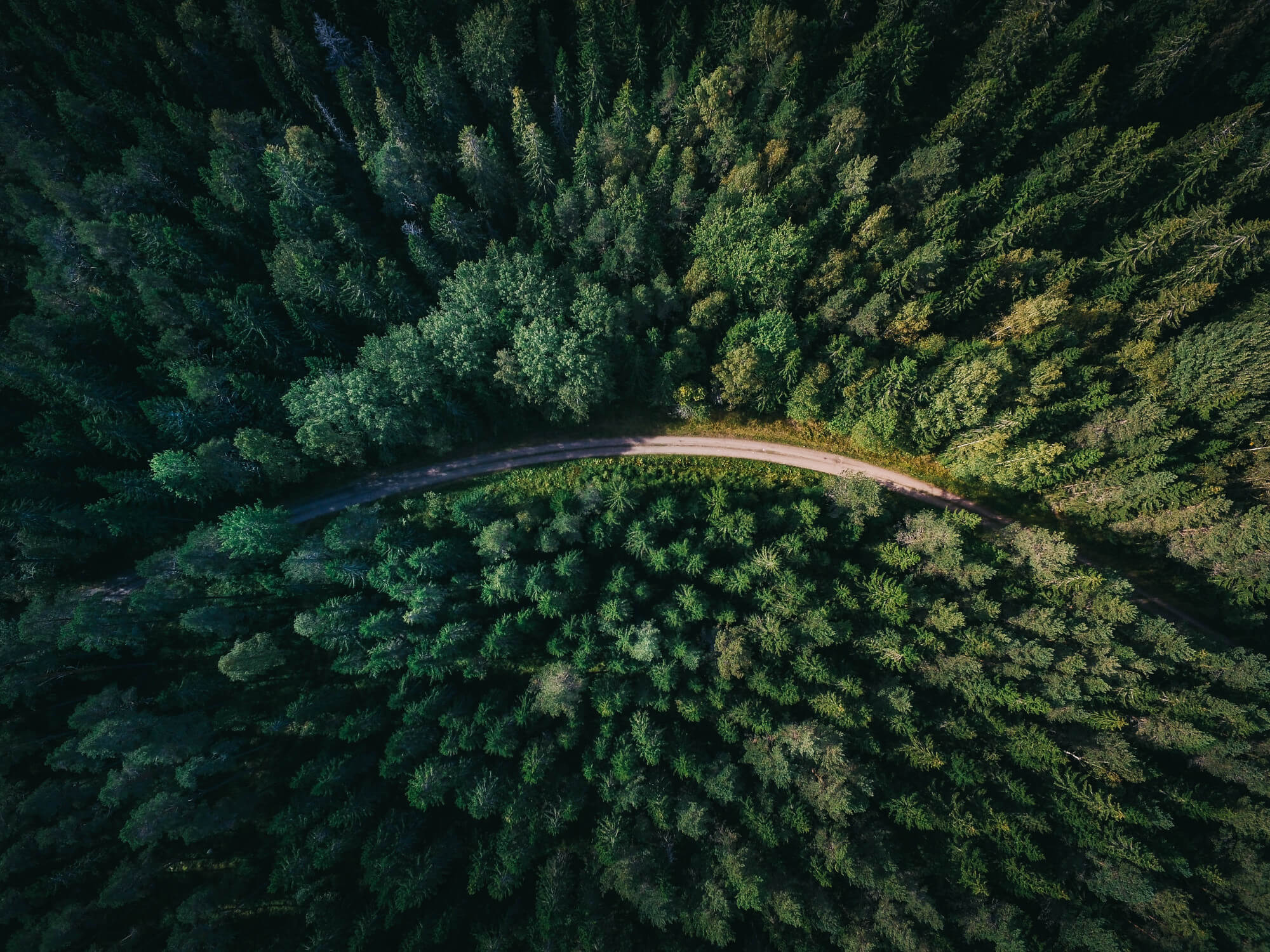 geranimo qzgn45hsen0 unsplash